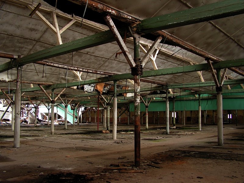 photo9.jpg