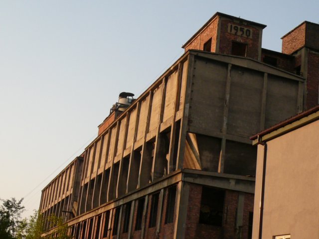 photo.jpg
