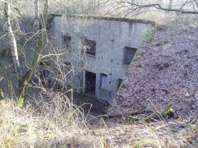 photo10.jpg