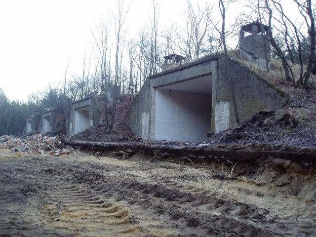 photo8.jpg
