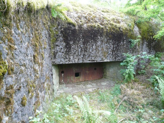 photo2.jpg
