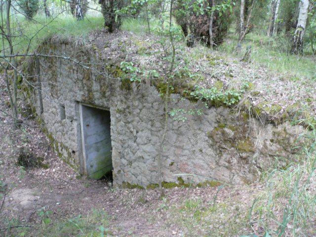 photo6.jpg