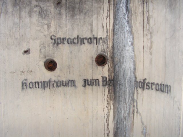 photo8.jpg