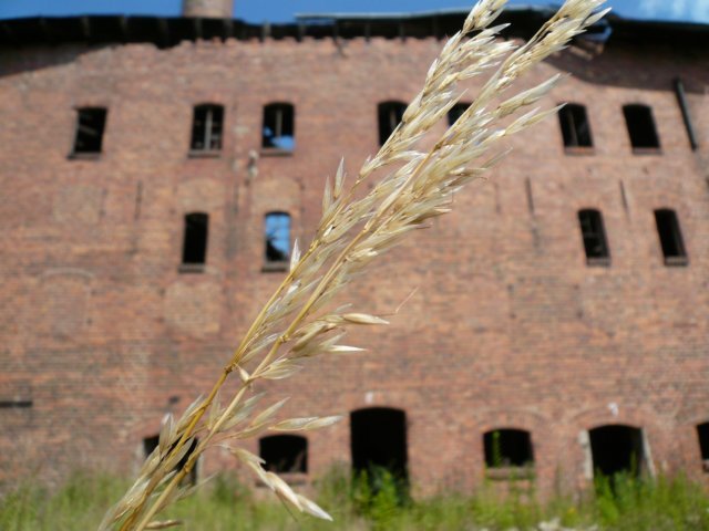 photo2.jpg