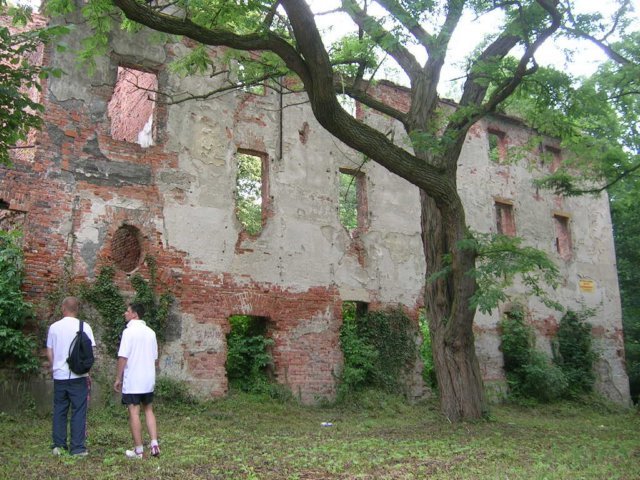 photo6.jpg