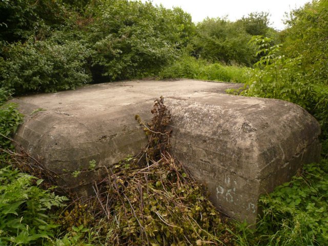 photo4.jpg