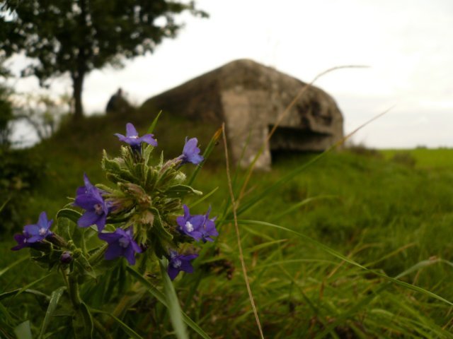 photo5.jpg