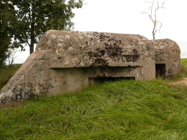 photo9.jpg
